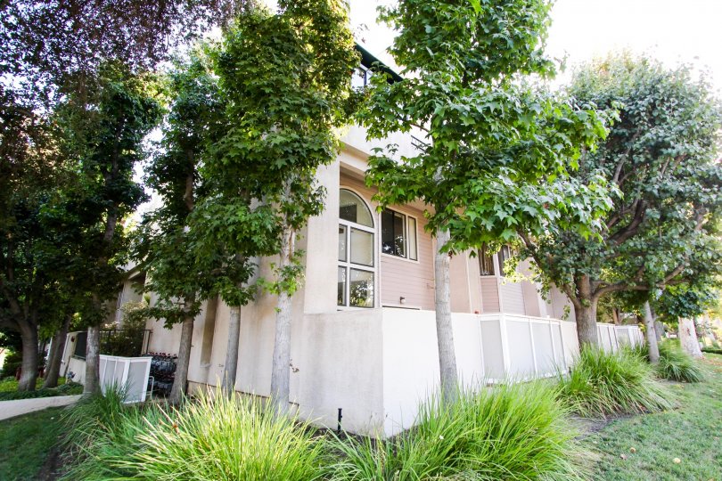 The Groves of Pasadena Condos, Lofts & Townhomes For Sale The Groves