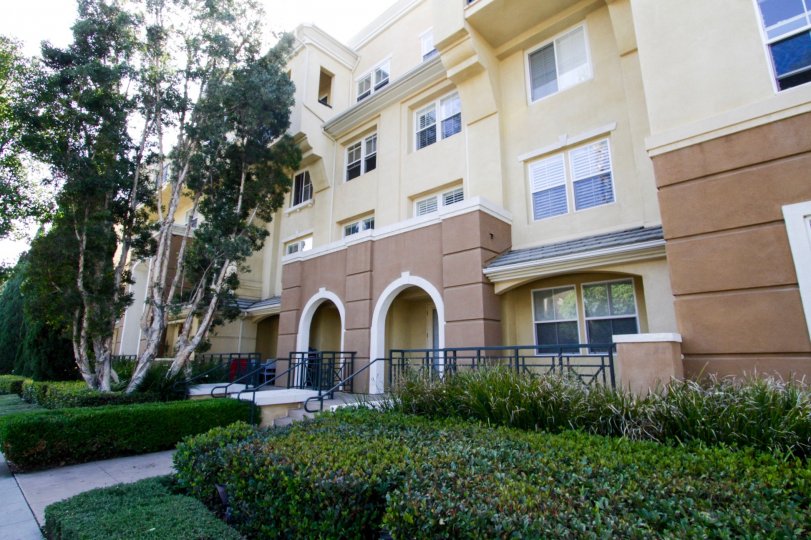 Avalon Condos, Lofts & Townhomes For Sale Avalon Real Estate Avalon