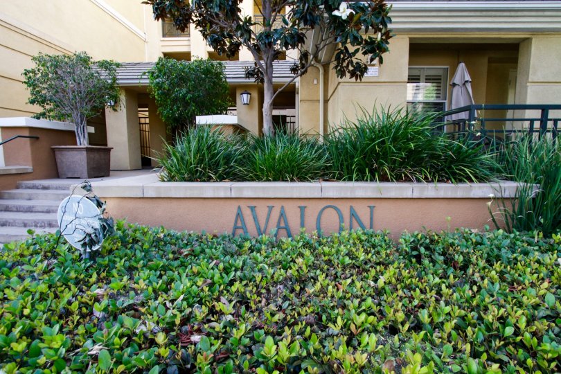 Avalon Condos, Lofts & Townhomes For Sale Avalon Real Estate Avalon