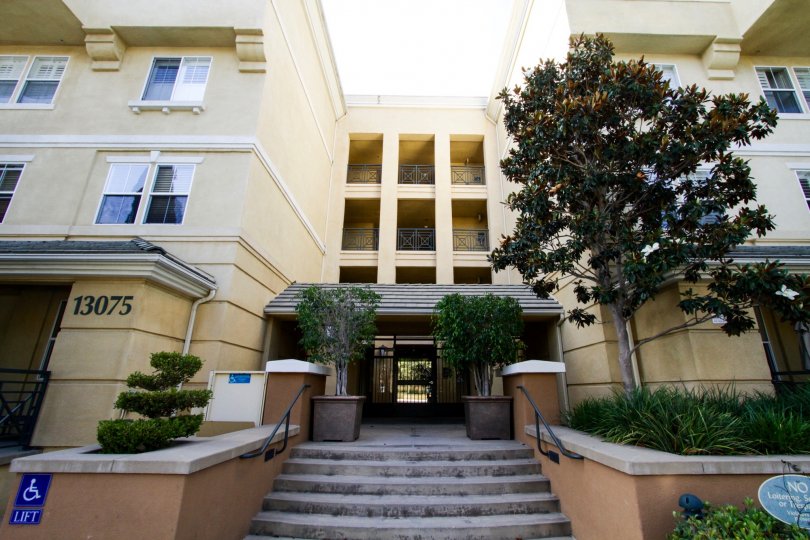 Avalon Condos, Lofts & Townhomes For Sale Avalon Real Estate Avalon