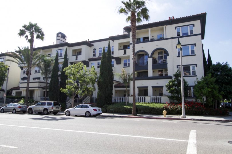 Catalina Playa Vista Condos, Lofts & Townhomes For Sale Catalina