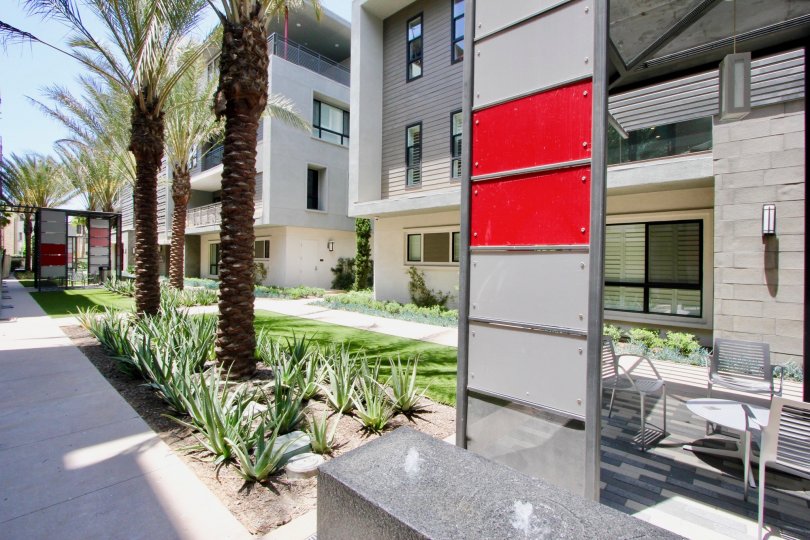 Cleo Condos, Lofts & Townhomes For Sale Cleo Real Estate Cleo