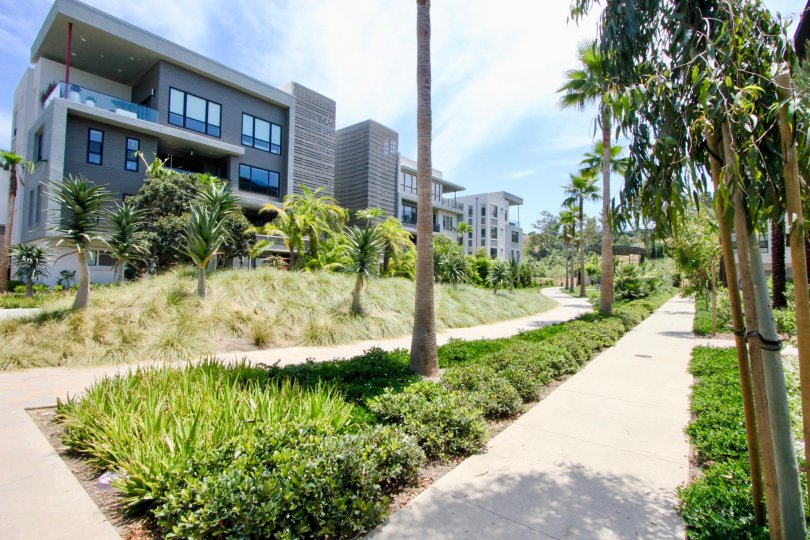 Cleo Condos, Lofts & Townhomes For Sale Cleo Real Estate Cleo