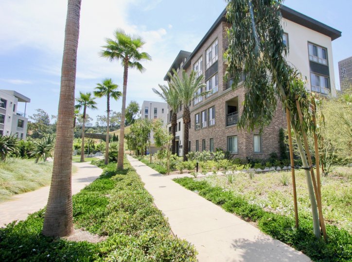 Cleo Condos, Lofts & Townhomes For Sale Cleo Real Estate Cleo