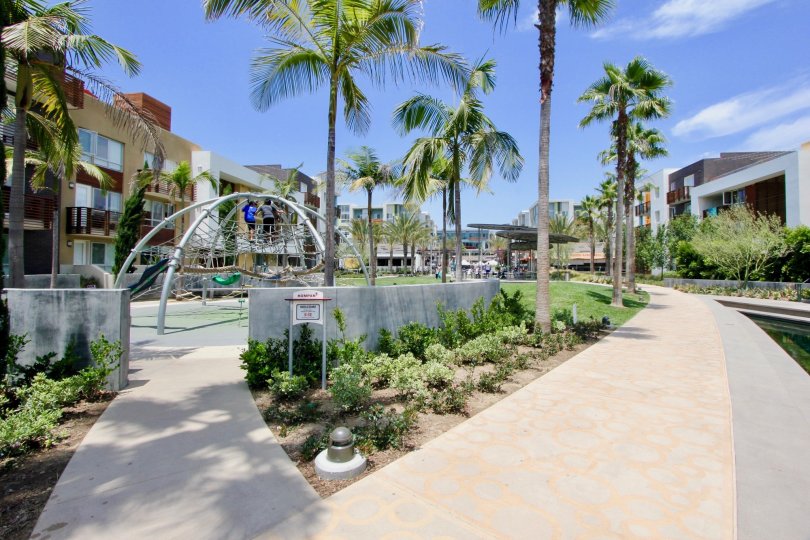 Cleo Condos, Lofts & Townhomes For Sale Cleo Real Estate Cleo