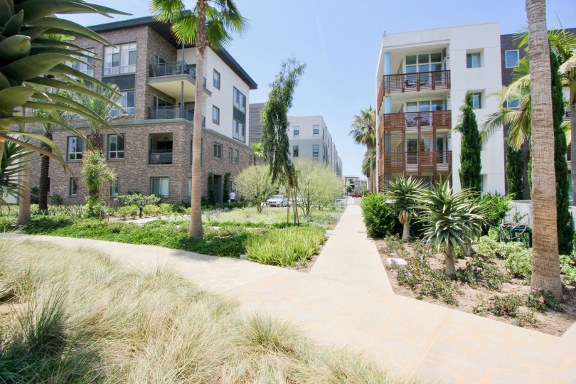 Cleo Condos, Lofts & Townhomes For Sale Cleo Real Estate Cleo