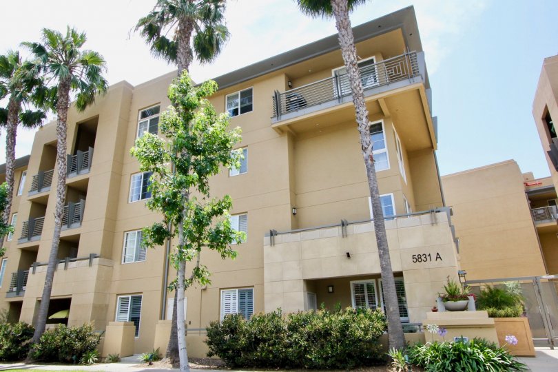 Paraiso Condos, Lofts & Townhomes For Sale Paraiso Real Estate Paraiso, Playa Vista CA