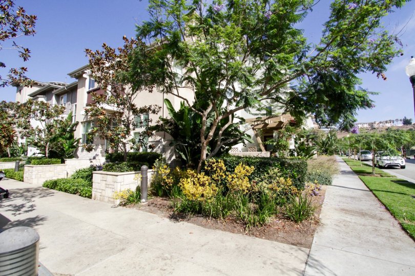 Tapestry II Condos, Lofts & Townhomes For Sale Tapestry II Real