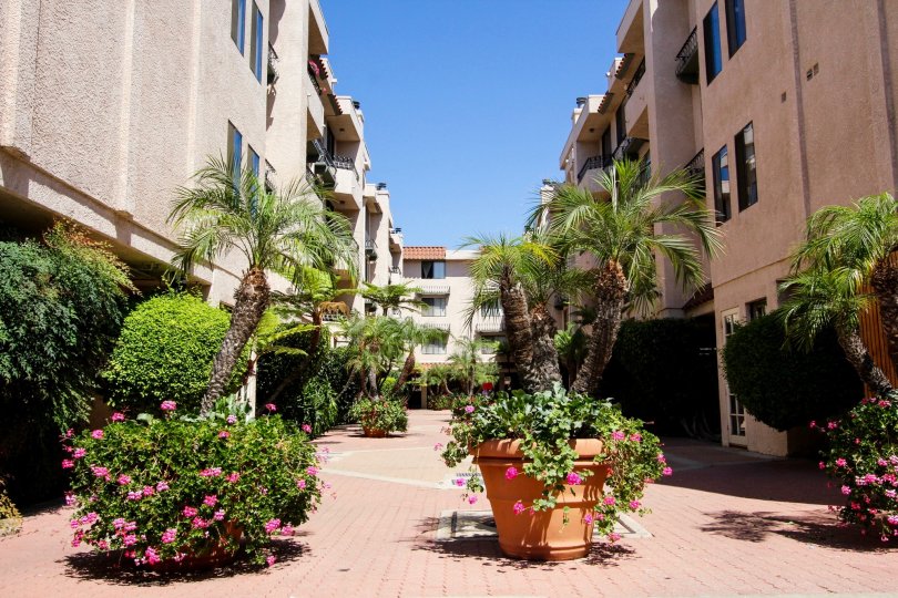 Casa Verde Estates Condos, Lofts & Townhomes For Sale Casa Verde
