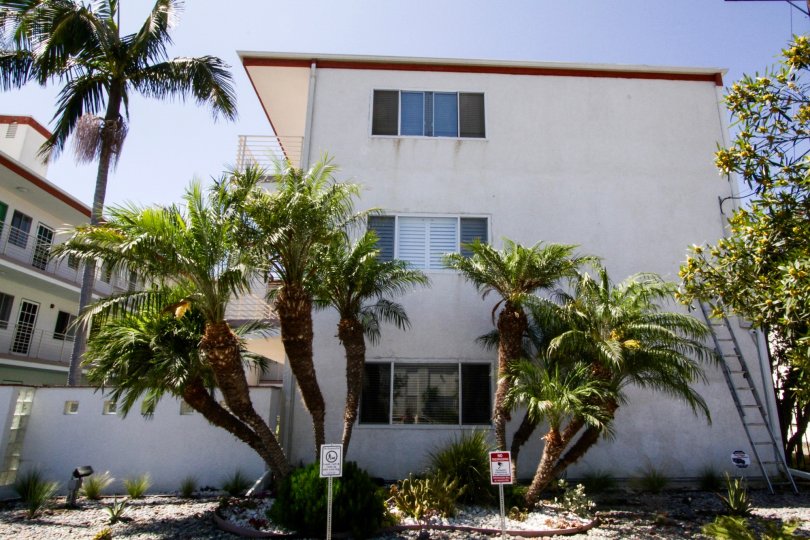 229 Bicknell Condos, Lofts & Townhomes For Sale 229 Bicknell Real