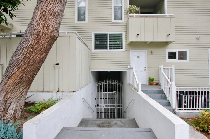 3101-fifth-condos-lofts-townhomes-for-sale-3101-fifth-real-estate