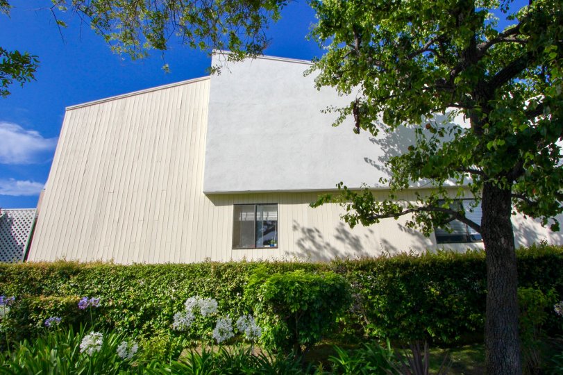 Douglas Park Townhomes Condos, Lofts & Townhomes For Sale Douglas