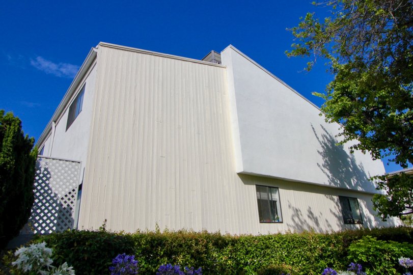 Douglas Park Townhomes Condos, Lofts & Townhomes For Sale Douglas