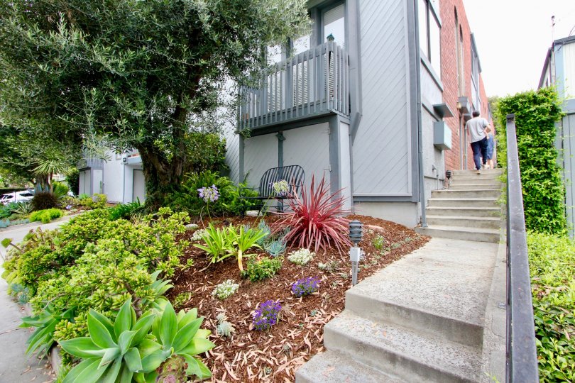 Ocean Park Plaza Condos, Lofts & Townhomes For Sale ...