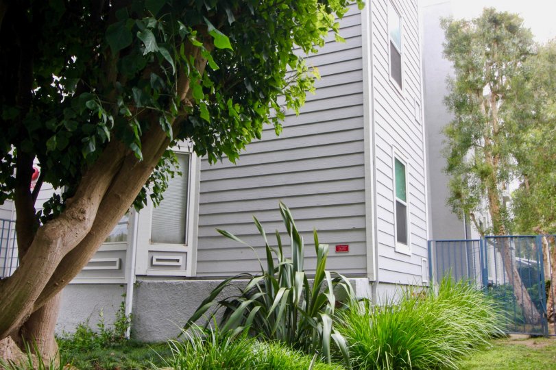 Pacific Gardens Condos, Lofts & Townhomes For Sale | Pacific Gardens
