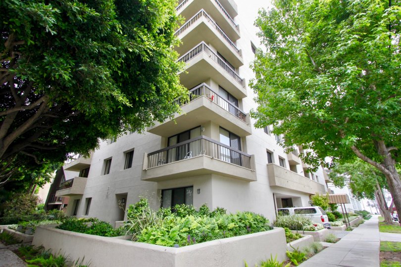 Pacifica Terrace Condos, Lofts & Townhomes For Sale Pacifica Terrace