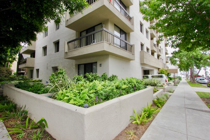 Pacifica Terrace Condos, Lofts & Townhomes For Sale Pacifica Terrace