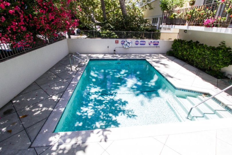 Vicente Court Condos, Lofts & Townhomes For Sale Vicente Court Real
