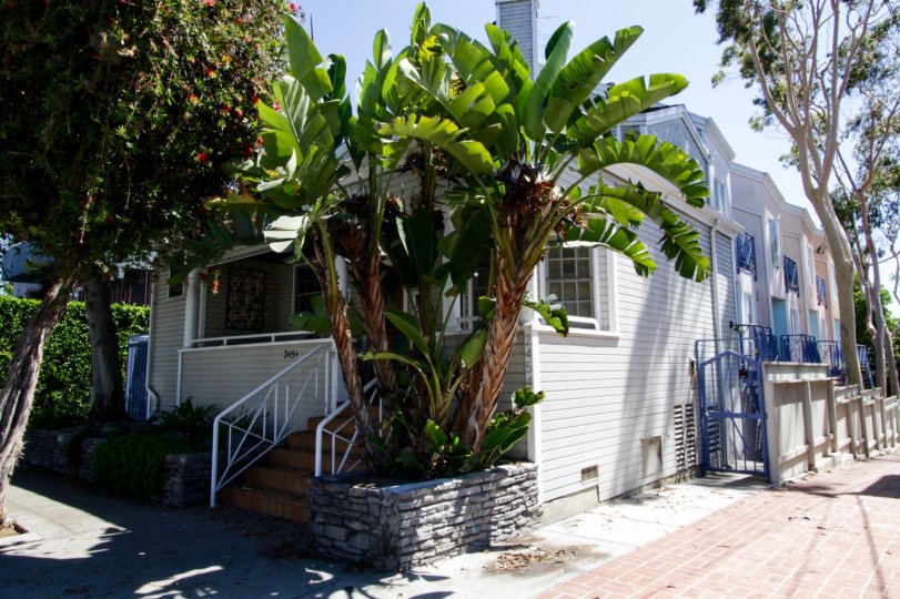 Villa de Luz Condos, Lofts & Townhomes For Sale Villa de Luz Real