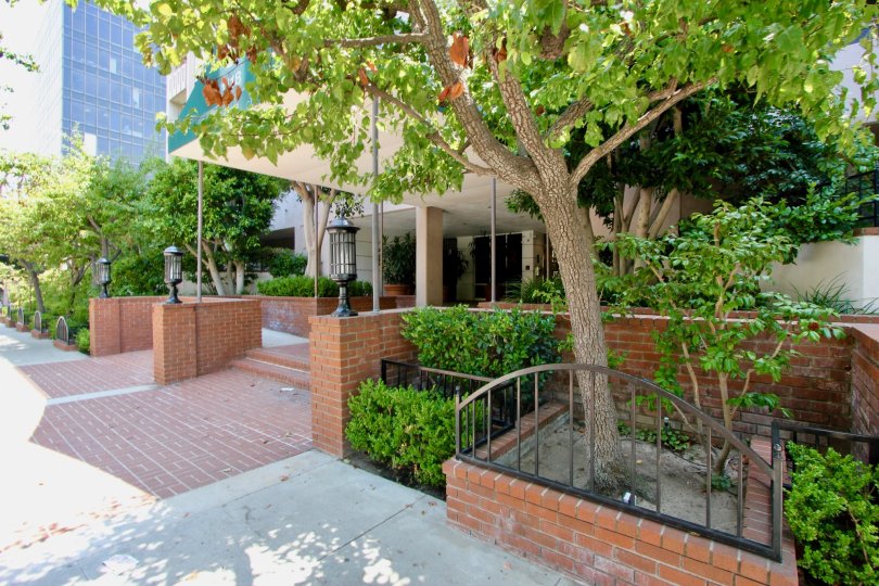 Wilshire Ocean Terrace Condos, Lofts & Townhomes For Sale Wilshire