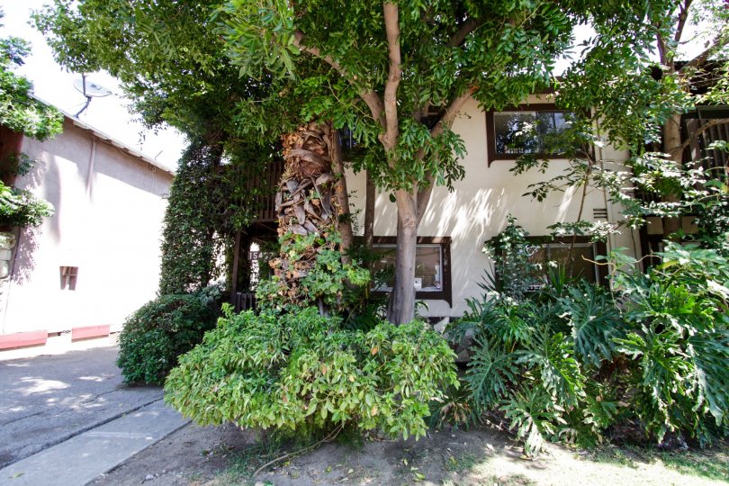 15457 Moorpark St Condos, Lofts & Townhomes For Sale 15457 Moorpark St Real Estate 15457