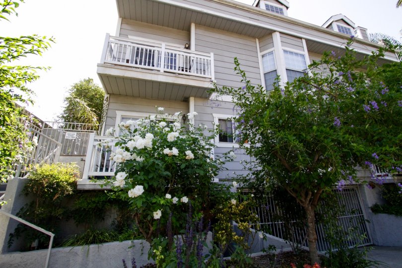 Canyon Sherman Oaks Condos, Lofts & Townhomes For Sale | Canyon Sherman Oaks Real Estate ...