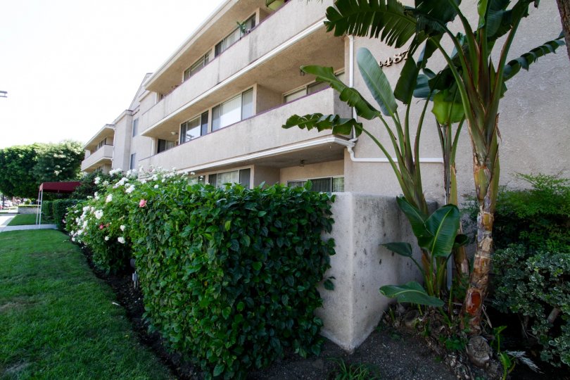 Carlyle Towers Condos, Lofts & Townhomes For Sale Carlyle Towers Real