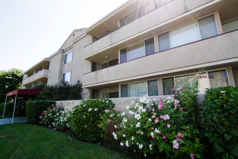 Carlyle Towers Condos, Lofts & Townhomes For Sale Carlyle Towers Real