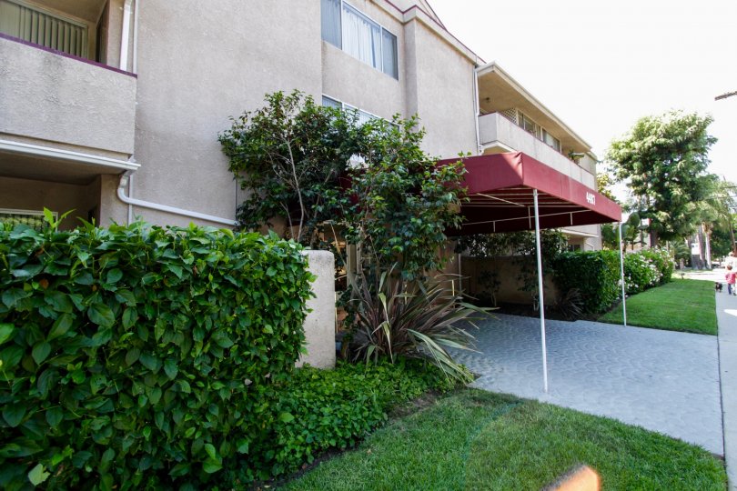 Carlyle Towers Condos, Lofts & Townhomes For Sale Carlyle Towers Real