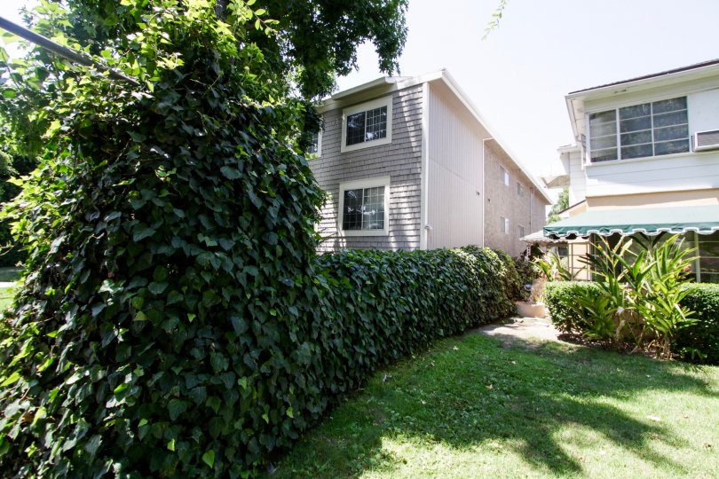 Coldwater Creek Condos, Lofts & Townhomes For Sale Coldwater Creek