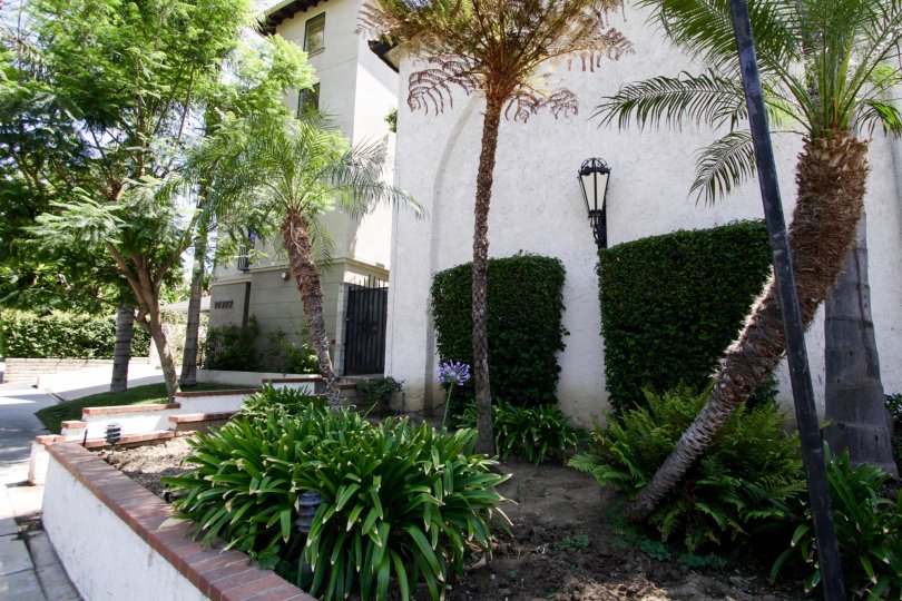 Dickens Street Townhomes Condos, Lofts & Townhomes For Sale Dickens