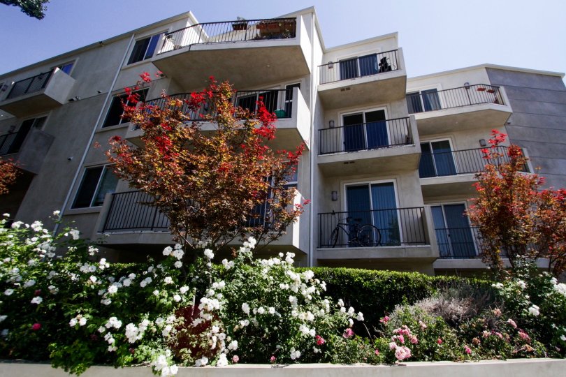 Killion Condos Condos, Lofts & Townhomes For Sale Killion Condos Real