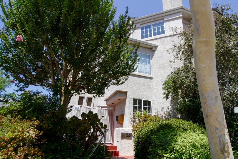 Noble House Condos, Lofts & Townhomes For Sale Noble House Real