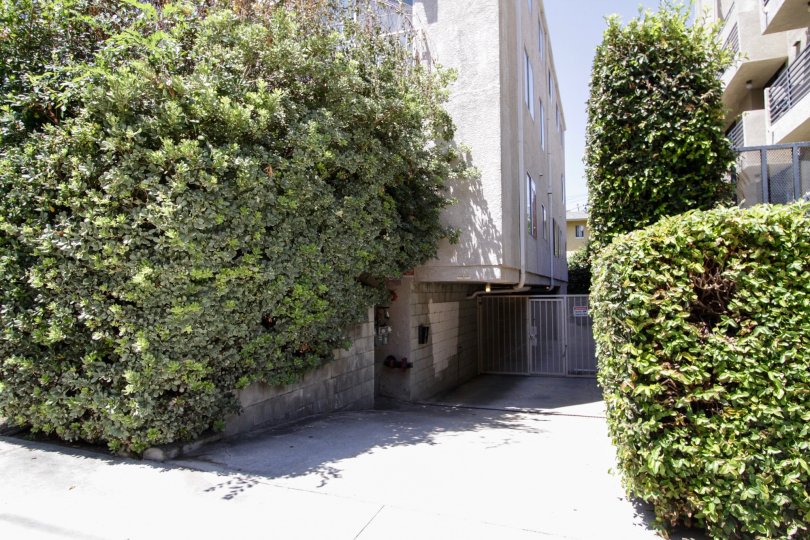 Noble House Condos, Lofts & Townhomes For Sale Noble House Real