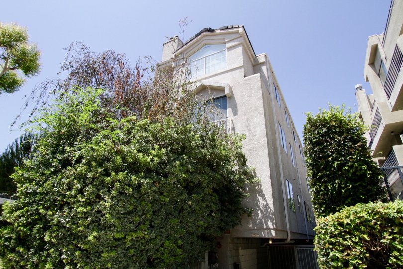 Noble House Condos, Lofts & Townhomes For Sale Noble House Real