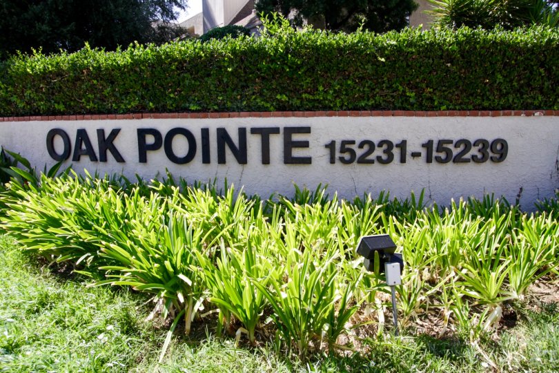 Oak Pointe Condos, Lofts & Townhomes For Sale Oak Pointe Real Estate