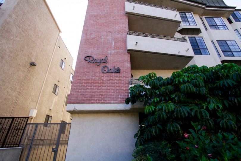 Royal Oaks Condos, Lofts & Townhomes For Sale Royal Oaks Real Estate Royal Oaks, Sherman
