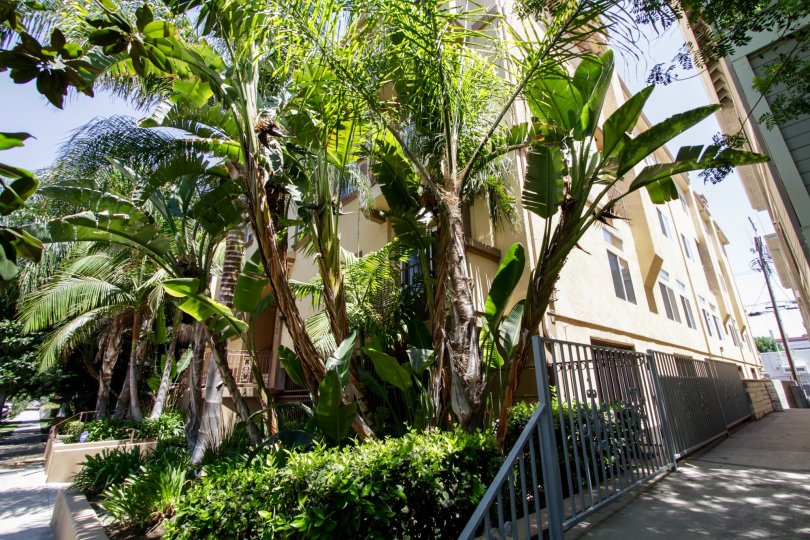 Villa at Vista Del Monte Condos, Lofts & Townhomes For Sale Villa at