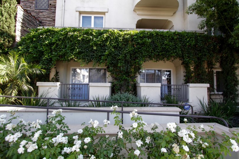 Villa Trevi Condos, Lofts & Townhomes For Sale Villa Trevi Real