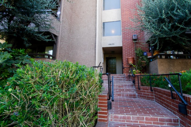 Willis Manor Condos, Lofts & Townhomes For Sale Willis Manor Real