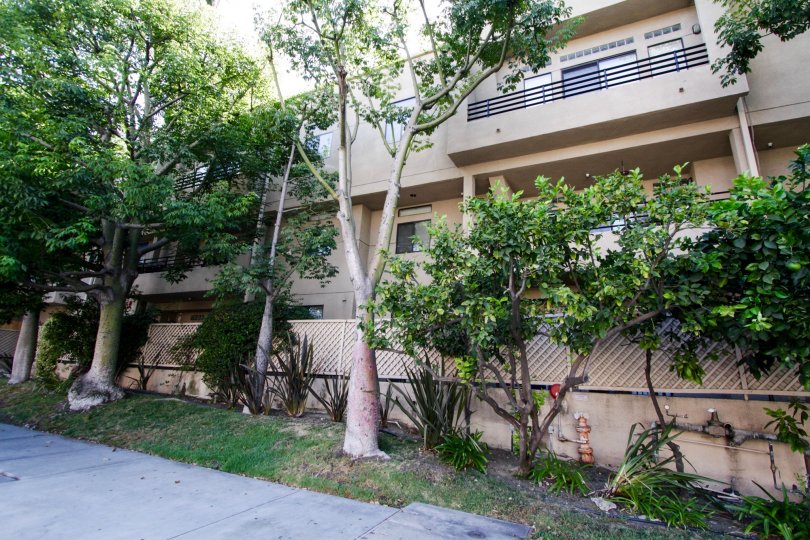 Woodman Villas Condos, Lofts & Townhomes For Sale Woodman Villas Real