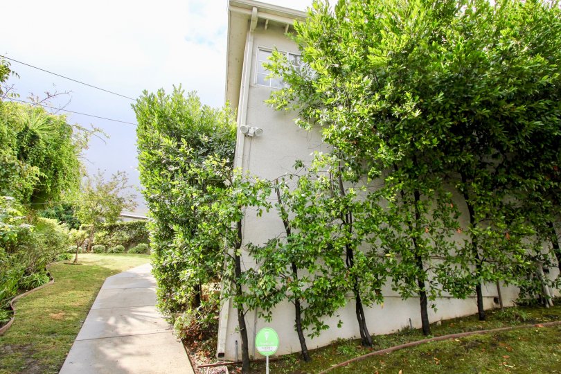 Montrose Lakeside Condos Condos, Lofts & Townhomes For Sale Montrose