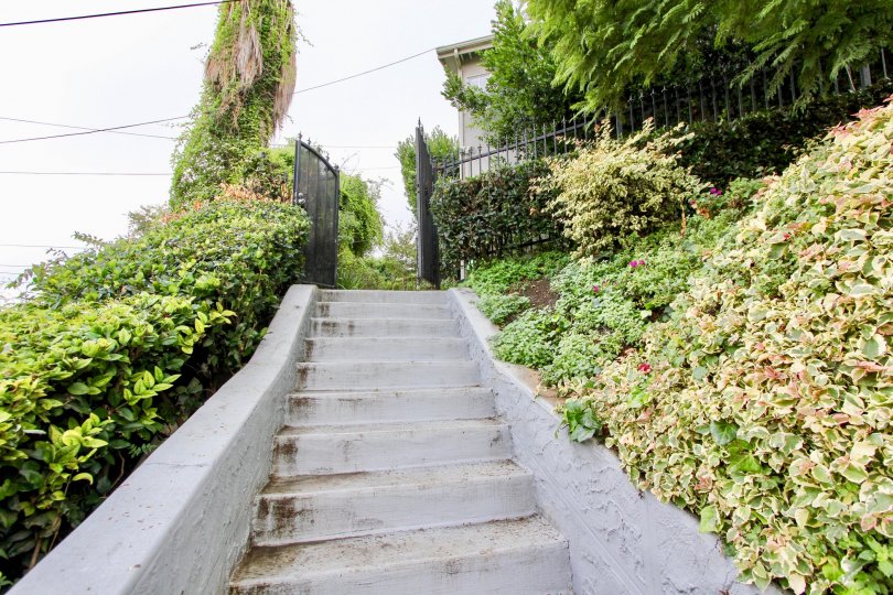 Montrose Lakeside Condos Condos, Lofts & Townhomes For Sale Montrose