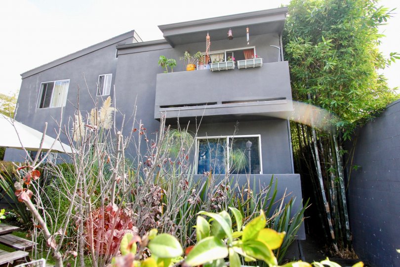 Six Off Rowena Condos, Lofts & Townhomes For Sale Six Off Rowena Real