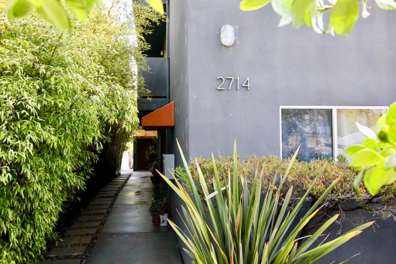 Six Off Rowena Condos, Lofts & Townhomes For Sale Six Off Rowena Real