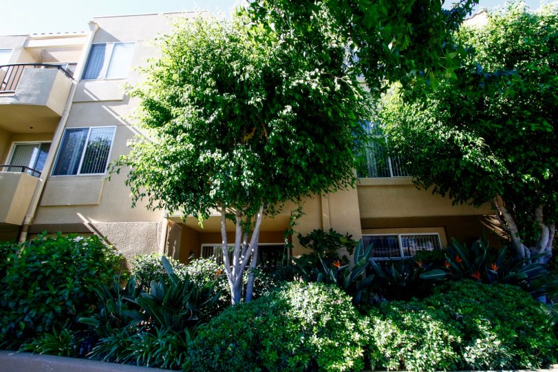 12633 Moorpark Condos, Lofts & Townhomes For Sale 12633 Moorpark Real Estate 12633 Moorpark