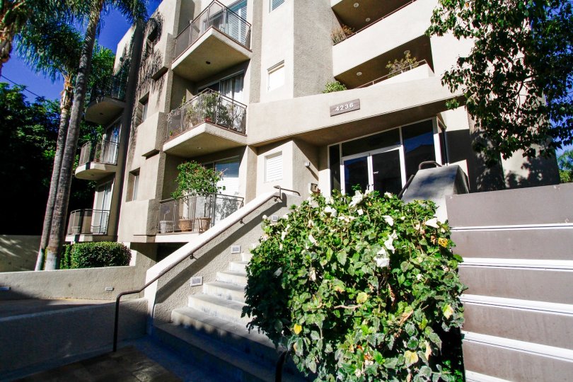 4236 Longridge Ave Condos, Lofts & Townhomes For Sale 4236 Longridge Ave Real Estate 4236