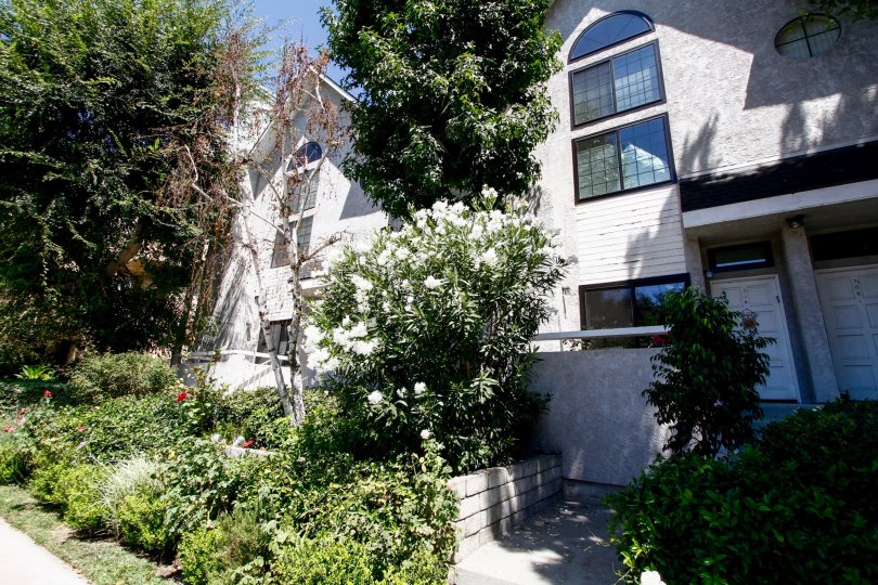 Colfax Gardens Condos, Lofts & Townhomes For Sale Colfax Gardens Real