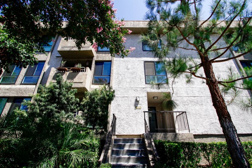 Colfax Meadows Condos, Lofts & Townhomes For Sale Colfax Meadows Real