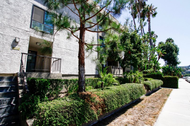 Colfax Meadows Condos, Lofts & Townhomes For Sale Colfax Meadows Real